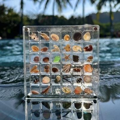 Nouveau design Magnétique échantillon de coquille d'acrylique boîte d'affichage pour le stockage de bijoux boîte